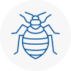 Bed Bug Extermination In Yeadon