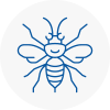 Yeadon Hornet Nest Removals