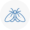 Moth Control Specialists In Yeadon