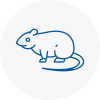 Rat Control Yeadon