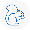 Yeadon Rodent Removals