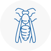 Yeadon Wasp Nest Removal